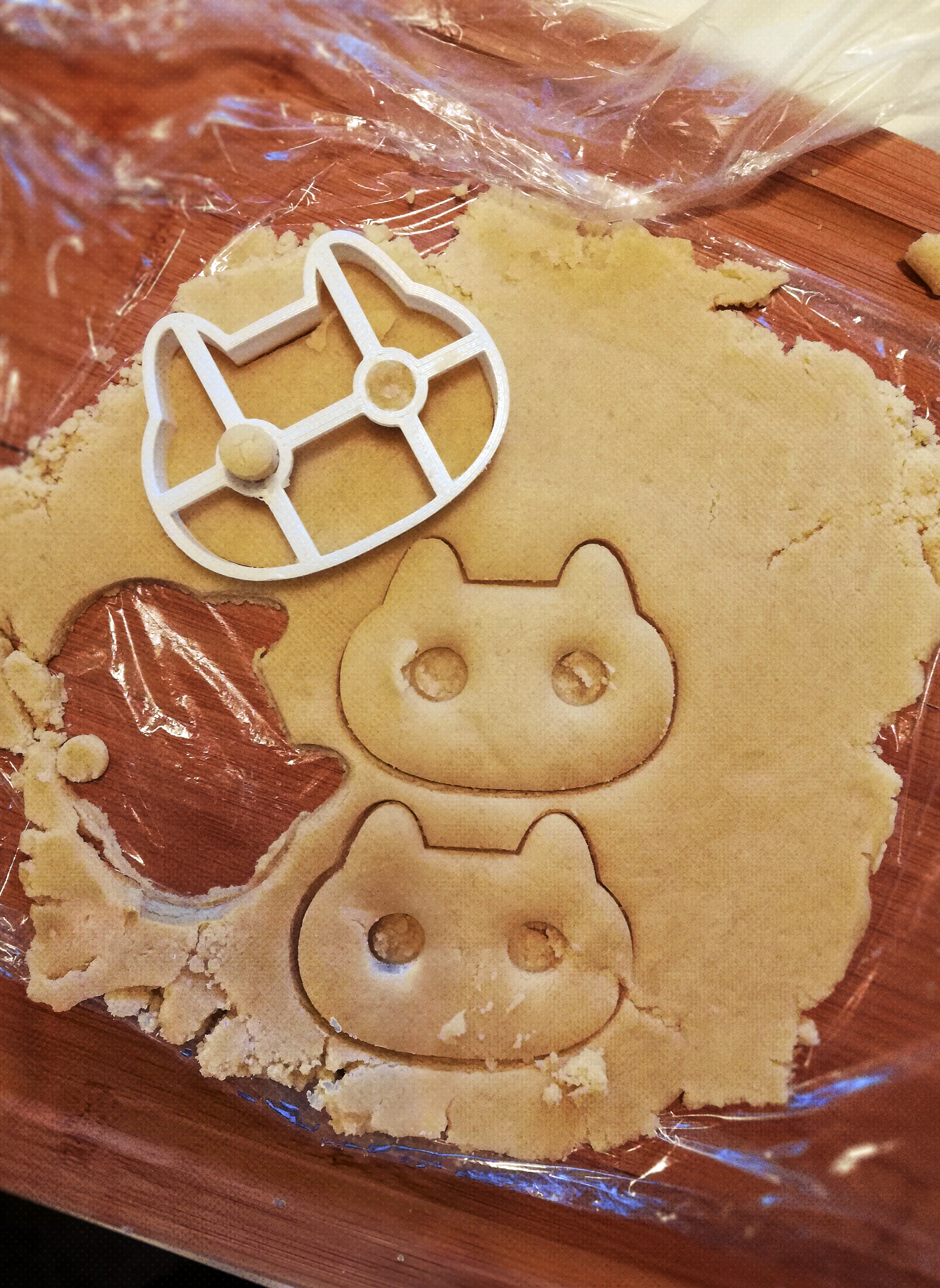 Cat Cookies