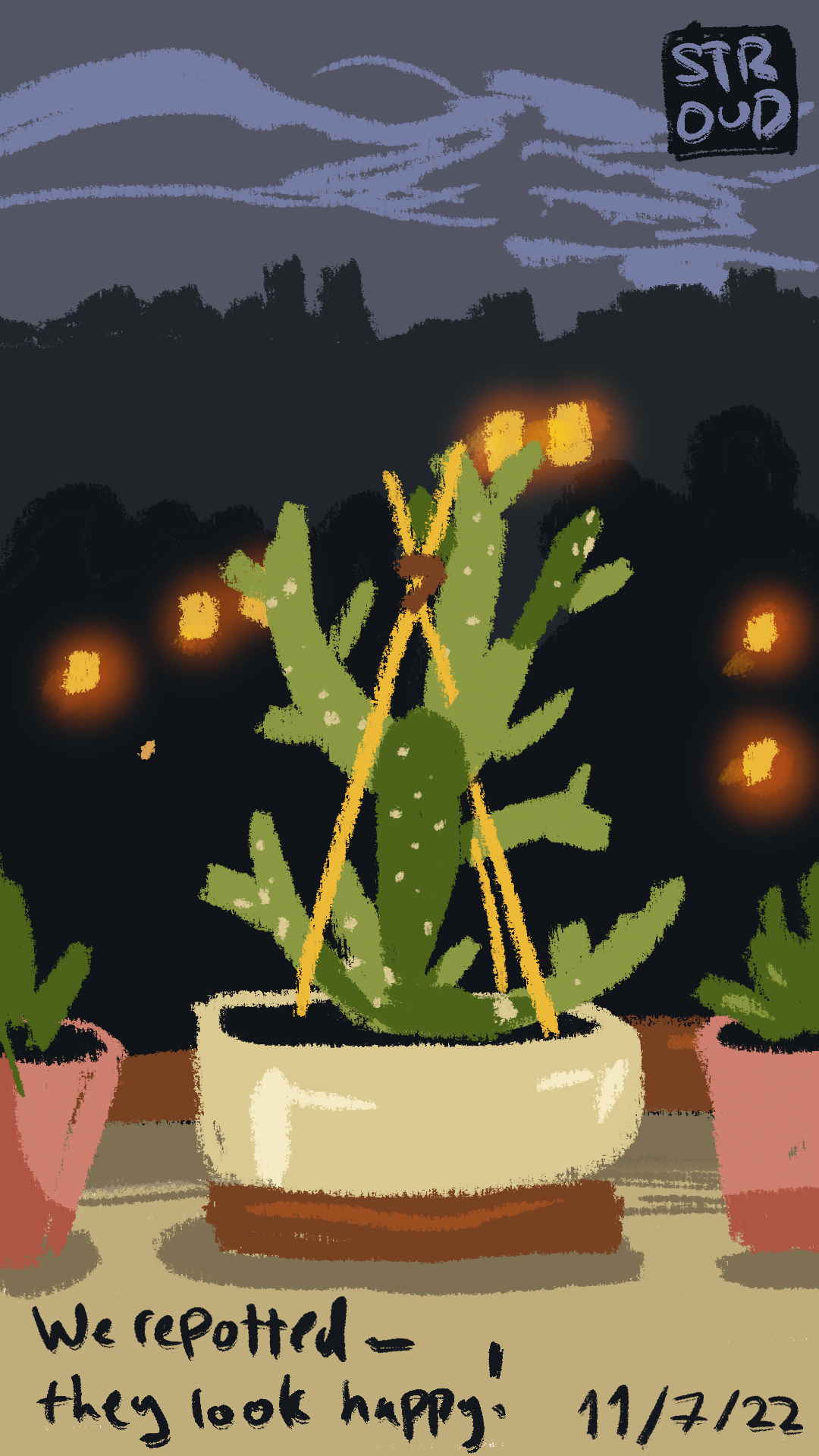 Cacti in the Window